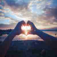 自‍动‍数‌据‍挖‌掘‍软‍件﻿